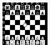 New Chessmaster, The