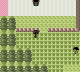 Pokemon Crystal Clear Standard