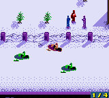 SnowCross