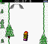 Extreme Sports with the Berenstain Bears