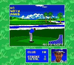 Chi Chi's Pro Challenge Golf
