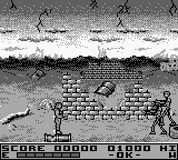 Terminator 2 - Judgment Day (USA, Europe)
