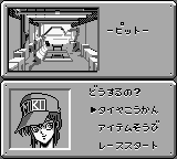 Shinseiki GPX Cyber Formula (Japan)
