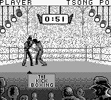 Kick Boxing, The (Japan)