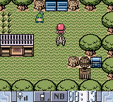 Pokemon Jade Version (Unl)