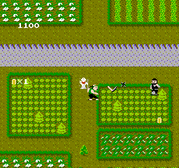 Ikki (Japan)